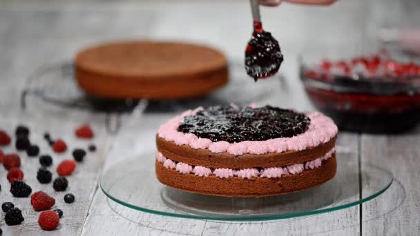 Preparing making chocolate cake with berries. Womans hand decorate cake. - Πλάνα, βίντεο
