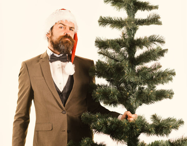 Director with beard gets ready for Christmas. Christmas corporate party - Φωτογραφία, εικόνα