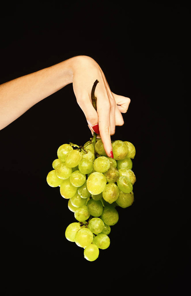 Autumn vinery harvest idea. Female hand holds bunch of grapes - Foto, imagen