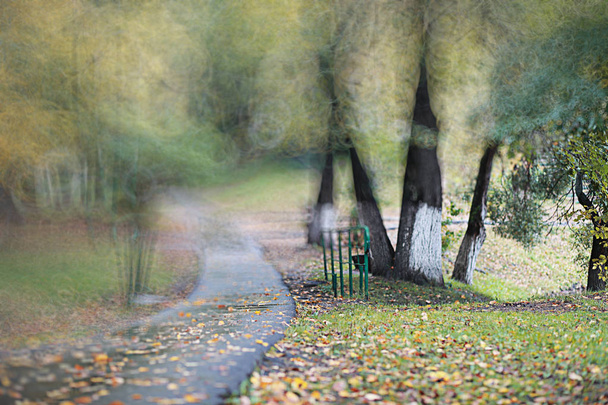 公園で秋の背景がある雨 - 写真・画像
