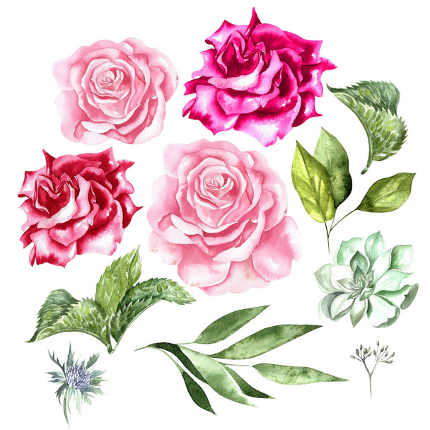 Watercolor set with flowers of roses and leaves. - Photo, Image