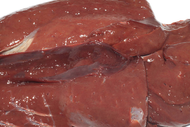 bistecche crude rosse di fegato bovino adulto
 - Foto, immagini