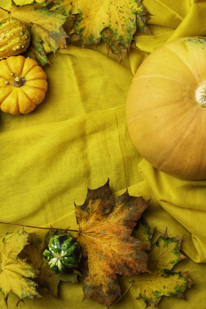 黄色の落ち葉、感謝祭の日の間黄色の亜麻布に横に熟した緑とオレンジ色のカボチャ. - 写真・画像