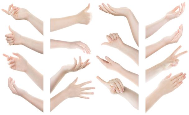 Beyaz arka plan üzerinde izole kadın el hareketleri kümesi - Fotoğraf, Görsel