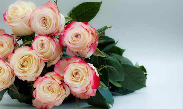 Bouquet of beautiful white and pink roses on blue background. - Foto, afbeelding
