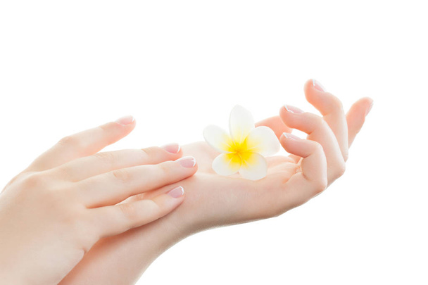 Spa manicure en schoonheid behandeling concept. Handen van de vrouw. Stijlvol trendy vrouwelijke manicure - Foto, afbeelding