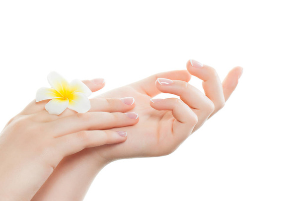 Mãos de mulher bonita com unhas perfeitas após salão de manicure com flor tropical e manicure francês isolado no fundo branco
 - Foto, Imagem