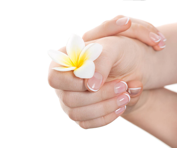 Spa dłoni. Piękne dłonie kobiece kobieta na białym tle. Ręce kobieta z idealne paznokcie po salon manicure francuski manicure - Zdjęcie, obraz