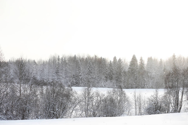 Landscape in the winter cloudy day - Fotografie, Obrázek