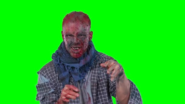 Zombie asustadizo en Halloween aislado fondo verde
 - Imágenes, Vídeo