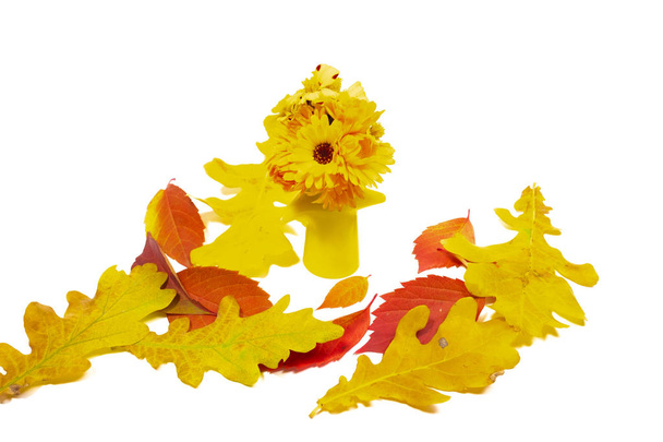 small bouquet of autumn flowers, autumn leaves and flowers - Foto, Imagen