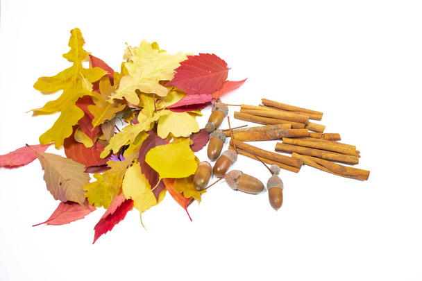 autumn leaves and flowers - Фото, изображение