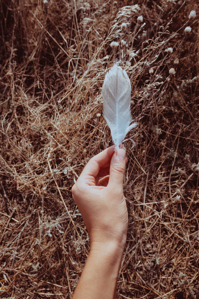Una mano femenina tierna sosteniendo una pluma blanca. Hierba seca en el backgroung
 - Foto, Imagen