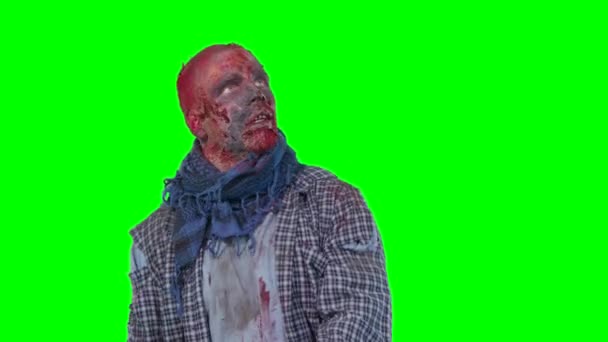 Félelmetes zombi a halloween elszigetelt zöld háttér - Felvétel, videó