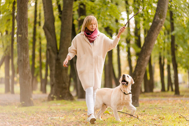 Una giovane donna gioca con il suo cane Labrador nel parco in autunno. Lancia un bastone al cane
. - Foto, immagini