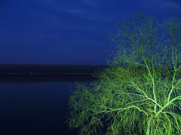 Sininen Tonava ja vihreä puu
 - Valokuva, kuva