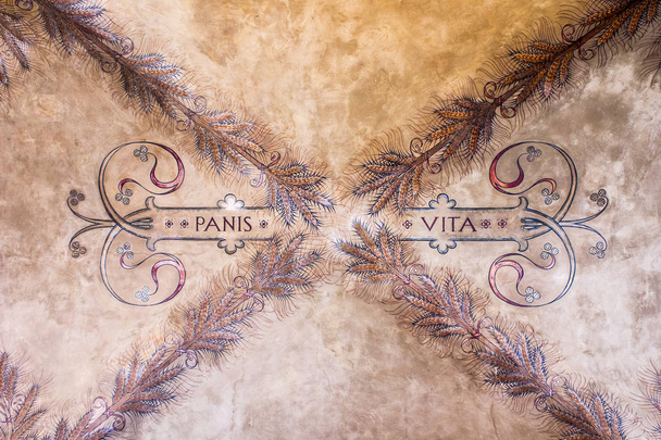 The inscription Panis Vita (Bread is life), one of the seven secrets of Bologna, Italy, in the Canton de Fiori - Photo, Image