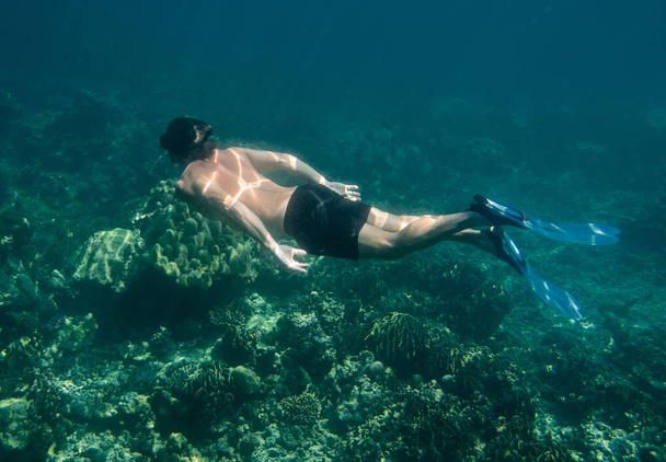 Man in flippers snorkeling underwater above the coral reefs in blue ocean depth - 写真・画像