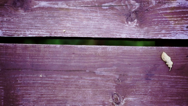 Most drewniany deski z bliska - Materiał filmowy, wideo