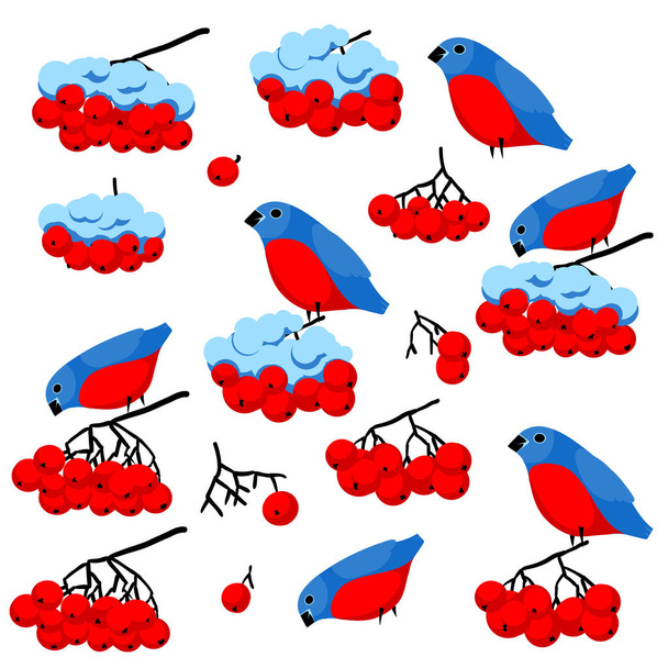 Set of winter elements. Bullfinches, bunch of rowan and snow. Good images for your sesonal design - Vector, Image