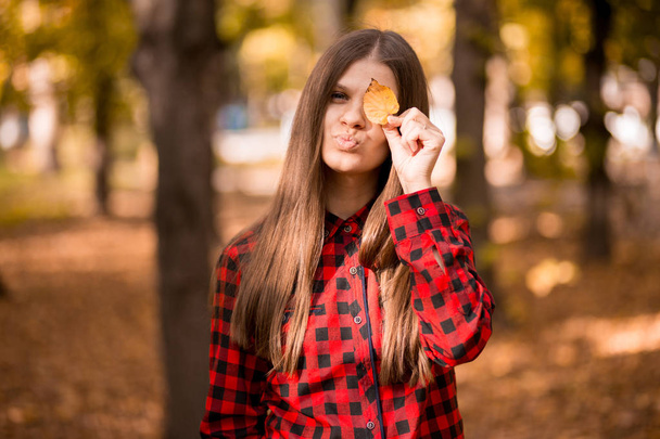 Portrait of cheerful young woman with autumn leafs - Foto, imagen