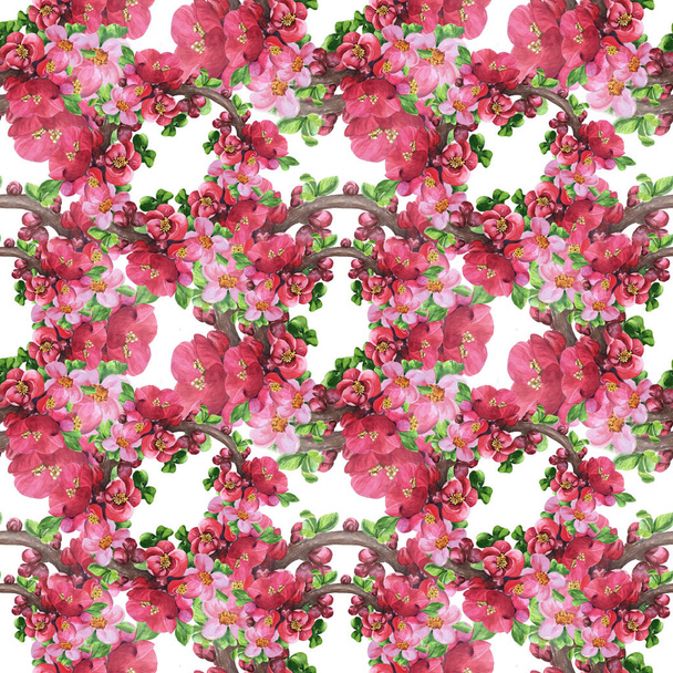 Branches of a flowering tree. Seamless pattern. Wallpaper. Use printed materials, signs, posters, postcards, packaging. Medicinal, perfume and cosmetic plants. Garden flowers. - Foto, immagini