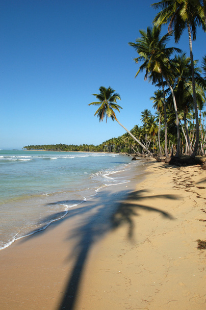 Домініканська Республіка, Las Ґалерас playa Боніта - Фото, зображення