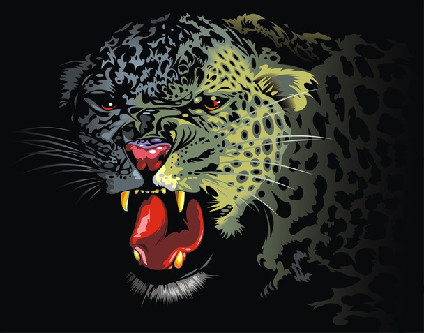 Leopard a dzsungel - Vektor, kép