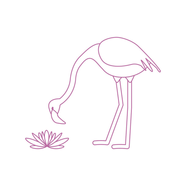 Ilustracja wektorowa z flamingo ptak i lilie wodne kwiaty. Projekt plakatu lub drukowanie. - Wektor, obraz