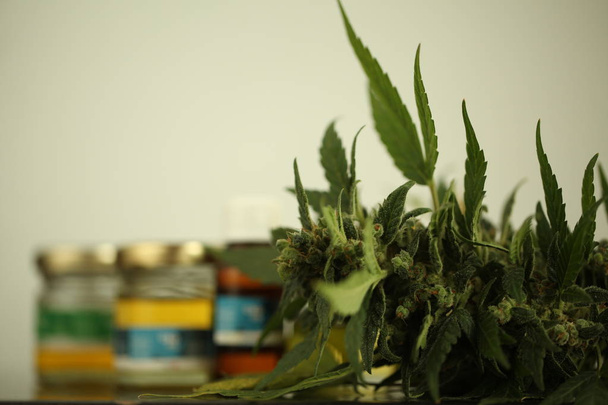 marihuana lääkekannabisöljy cbd
 - Valokuva, kuva