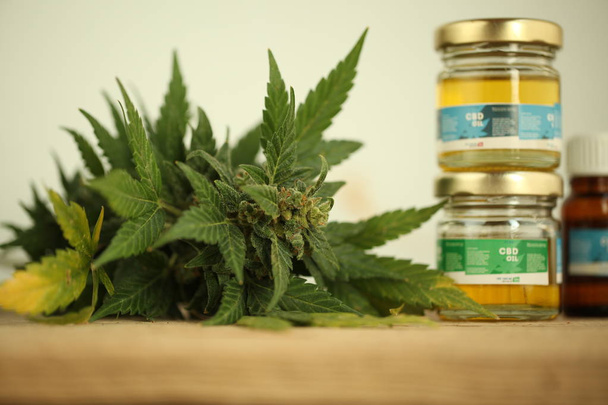 marihuana medische cannabis olie cbd - Foto, afbeelding