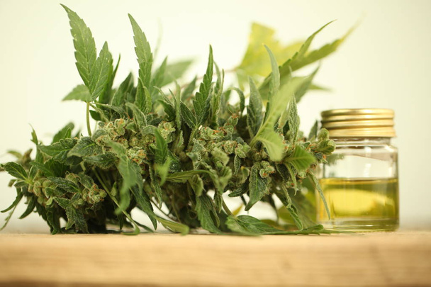 marihuana medicinal aceite de cannabis cbd
 - Foto, imagen