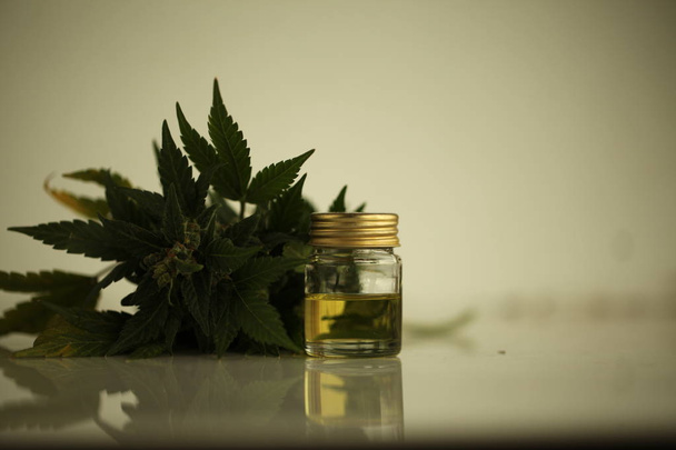 Marihuana medizinisches Cannabisöl cbd - Foto, Bild