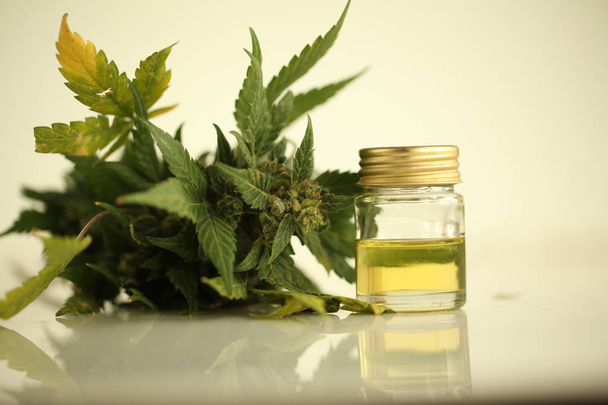 marihuana medische cannabis olie cbd - Foto, afbeelding