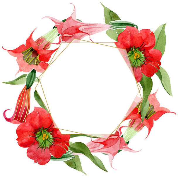 Watercolor red brugmansia flower. Floral botanical flower. Frame border ornament square. Aquarelle wildflower for background, texture, wrapper pattern, frame or border. - 写真・画像