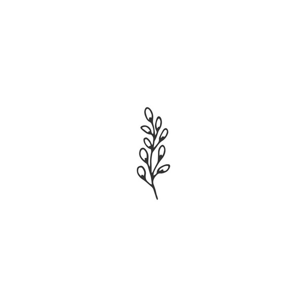 Vector floral hand drawn element in elegant and minimal style. - Vettoriali, immagini