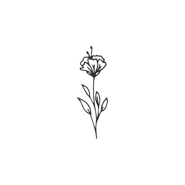 Vector floral hand drawn element in elegant and minimal style. - ベクター画像