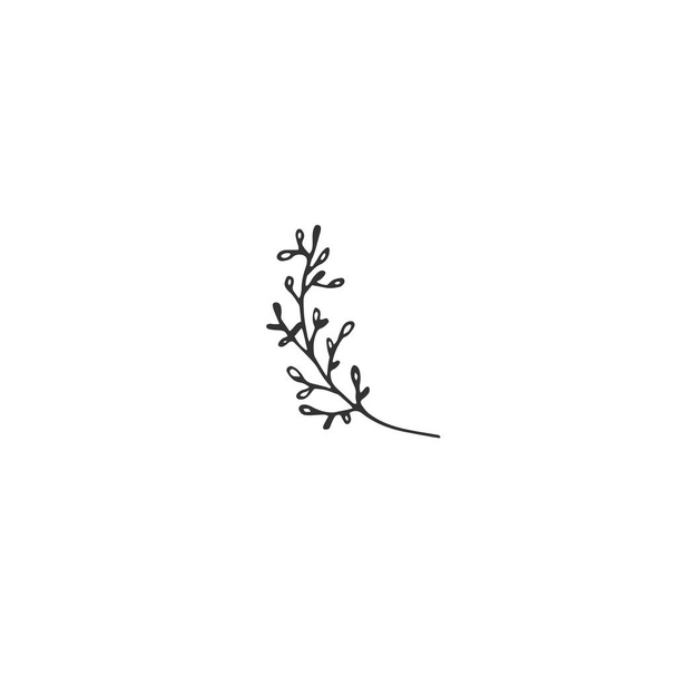 Vector floral hand drawn element in elegant and minimal style. - Vector, imagen
