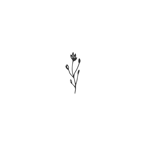 Vector floral hand drawn element in elegant and minimal style. - Vettoriali, immagini