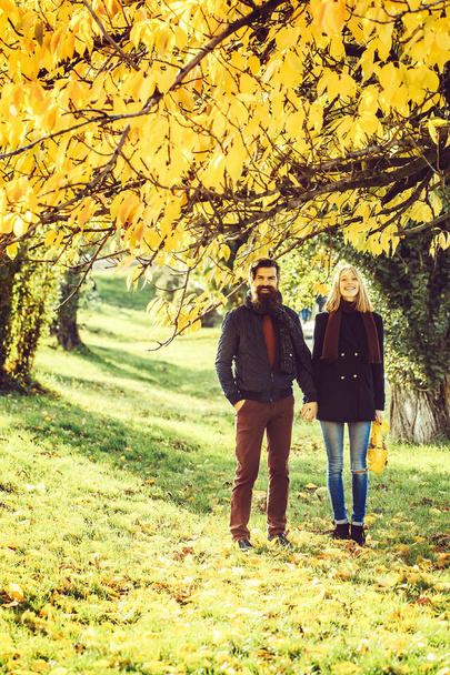 秋の公園の若いカップルは - 写真・画像
