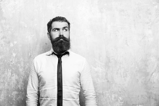 long beard of bearded man or hipster with serious face - Φωτογραφία, εικόνα