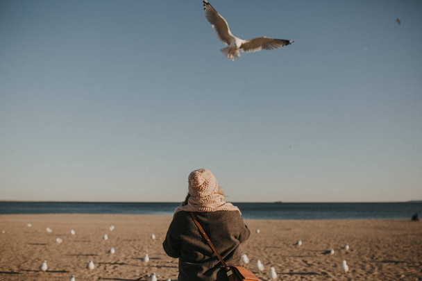 girl feed the birds on the beach - Zdjęcie, obraz