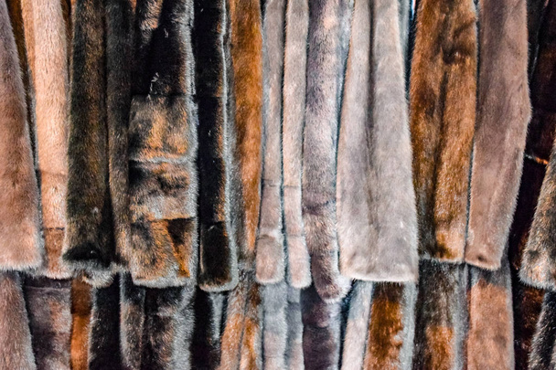 Fur coats on hangers. Fur store. fur coats in a row - Фото, изображение