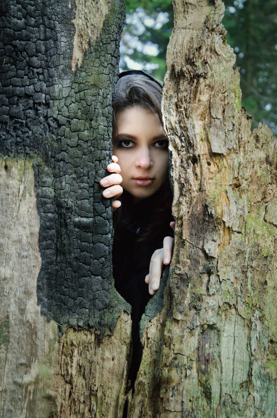 young beautiful elf hiding behind the trunk of a burnt tree and looks into the gap - Foto, immagini