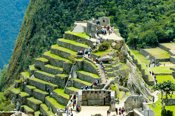 Machu Picchu strome tarasy - Peru - Zdjęcie, obraz