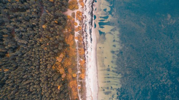 Top-Drohnenaufnahme des schönen wilden Strandes meremoisa voller Vegetation, Ostseeküste in Estland - Foto, Bild