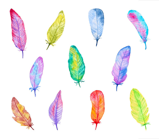Set of Colorful Watercolor Feathers. Hand Drawn and Painted. Isolated on White Background. Part 1 - Фото, зображення