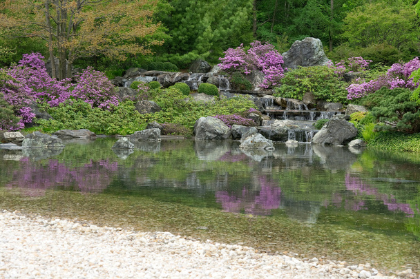 kvetoucí, japonské zahrady odráží v rybníku - Fotografie, Obrázek