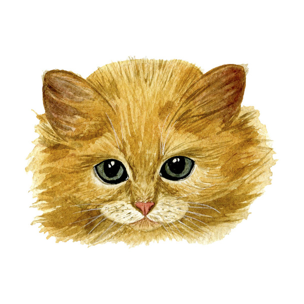 Kočičí obrázek ručně malované. Izolované kočka. Rukávníky tvář akvarel. Ideální pro tisk na tričko, polštář, plakát, karty, samolepky, atd.  - Fotografie, Obrázek