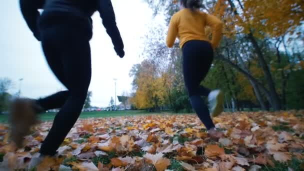 Jeunes femmes en forme fuyant la caméra dans le parc d'automne
. - Séquence, vidéo